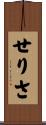 せりさ Scroll