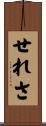 せれさ Scroll