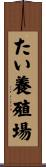 たい養殖場 Scroll