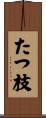 たつ枝 Scroll