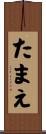たまえ Scroll
