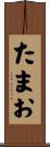 たまお Scroll