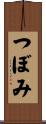 つぼみ Scroll