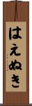 はえぬき Scroll