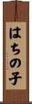 はちの子 Scroll