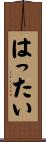 はったい Scroll