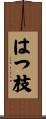 はつ枝 Scroll