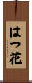 はつ花 Scroll