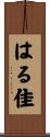 はる佳 Scroll