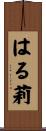 はる莉 Scroll