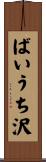 ばいうち沢 Scroll