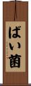 ばい菌 Scroll