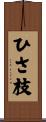 ひさ枝 Scroll