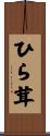ひら茸 Scroll