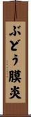ぶどう膜炎 Scroll
