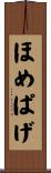 ほめぱげ Scroll