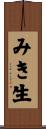 みき生 Scroll