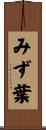 みず葉 Scroll