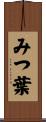 みつ葉 Scroll