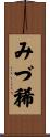 みづ稀 Scroll