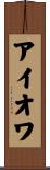 アイオワ Scroll