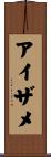 アイザメ Scroll
