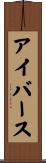 アイバース Scroll