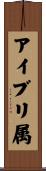 アイブリ属 Scroll