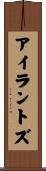 Irantzu Scroll