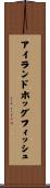 アイランドホッグフィッシュ Scroll