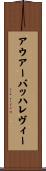 アウアーバッハレヴィー Scroll