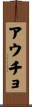 アウチョ Scroll