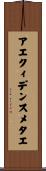 アエクィデンスメタエ Scroll