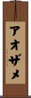 アオザメ Scroll