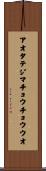 アオタテジマチョウチョウウオ Scroll