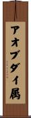 アオブダイ属 Scroll
