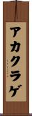 アカクラゲ Scroll