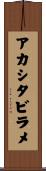 アカシタビラメ Scroll