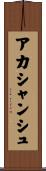 Akashanshu Scroll