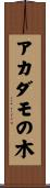 アカダモの木 Scroll