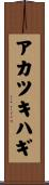 アカツキハギ Scroll