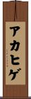 アカヒゲ Scroll