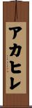 アカヒレ Scroll