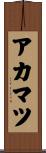 アカマツ Scroll