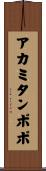 アカミタンポポ Scroll