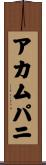 アカムパニ Scroll
