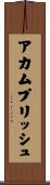 アカムプリッシュ Scroll
