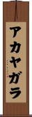 アカヤガラ Scroll