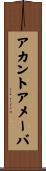 アカントアメーバ Scroll