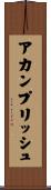 アカンプリッシュ Scroll